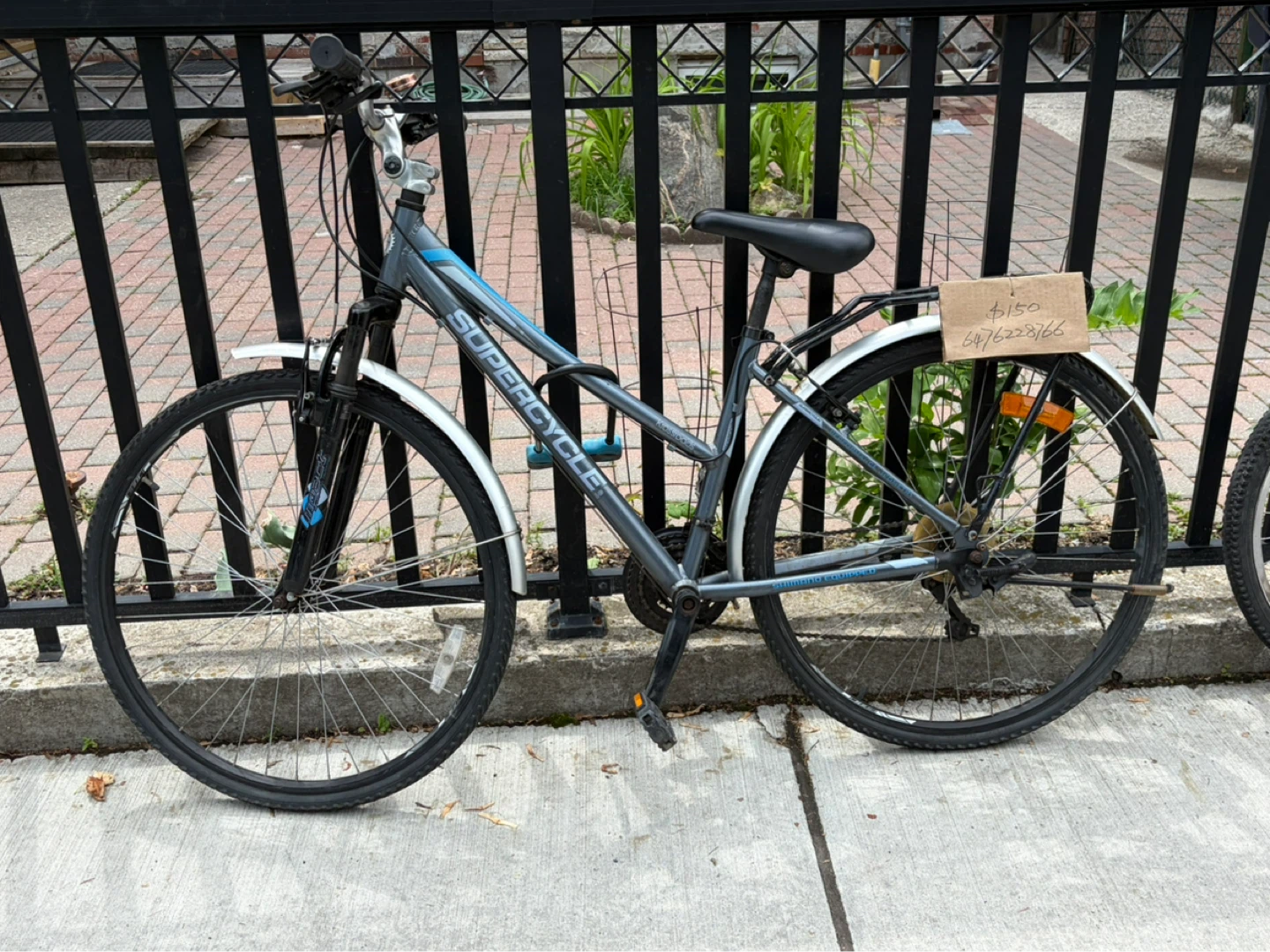 Large grey blue leisure bike