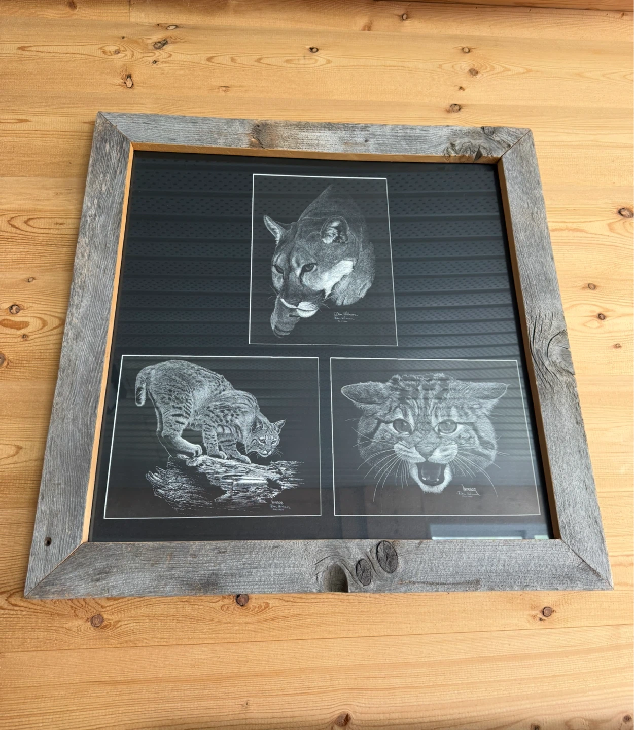 Large Rustic Framed Wildlife Art Print - Cougar, Bobcat & Lynx