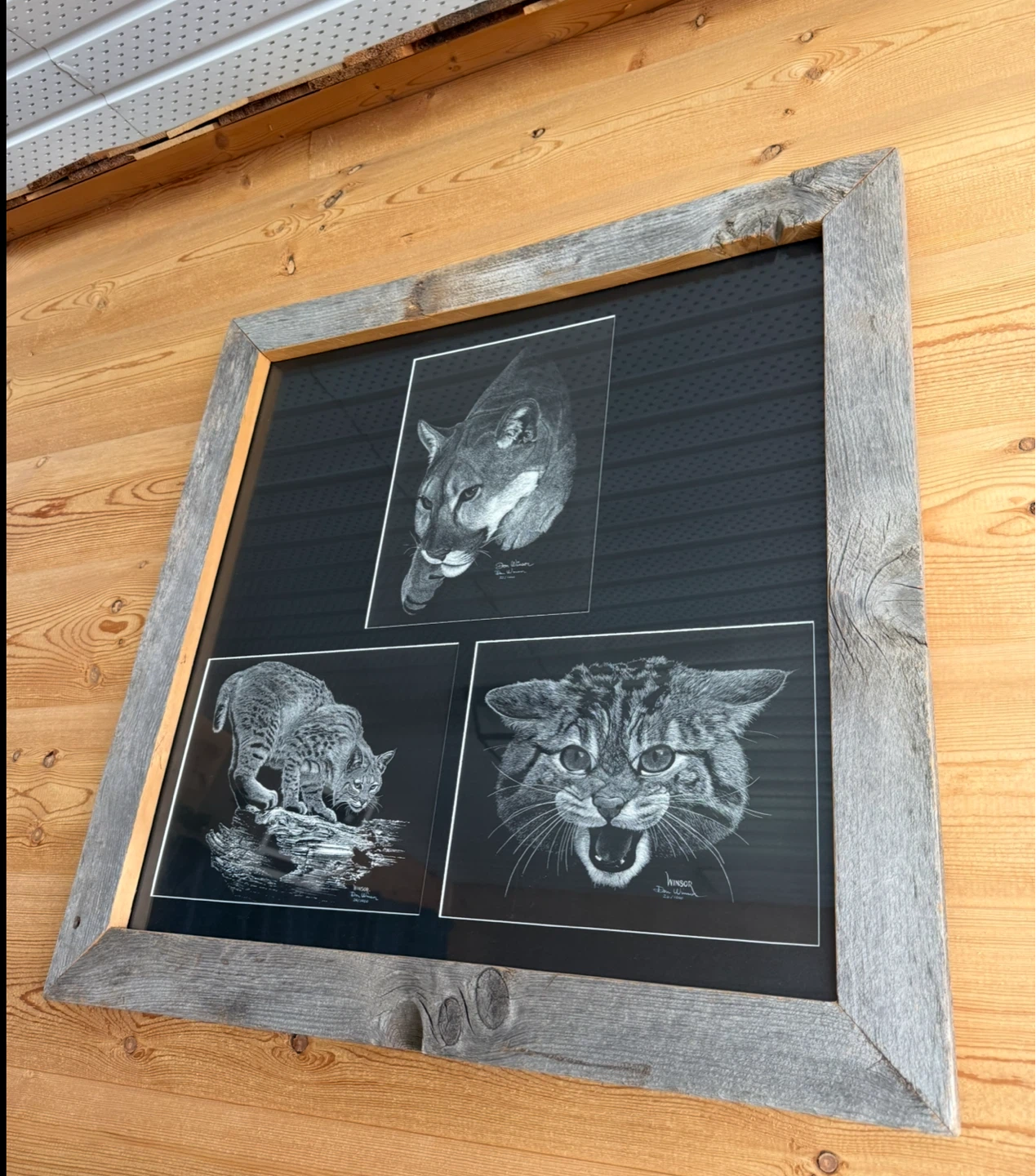 Large Rustic Framed Wildlife Art Print - Cougar, Bobcat & Lynx - photo 2