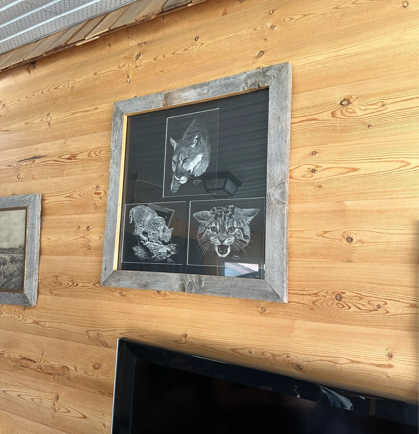 Large Rustic Framed Wildlife Art Print - Cougar, Bobcat & Lynx - photo 4