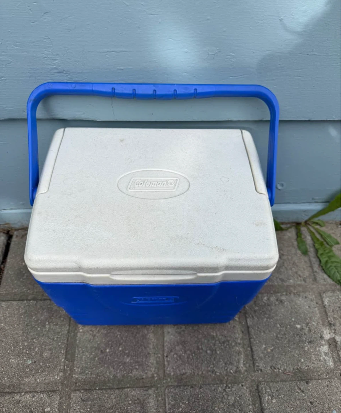 Coleman Insulated Lunch Cooler/Lunch Box – Great For Camping - photo 2
