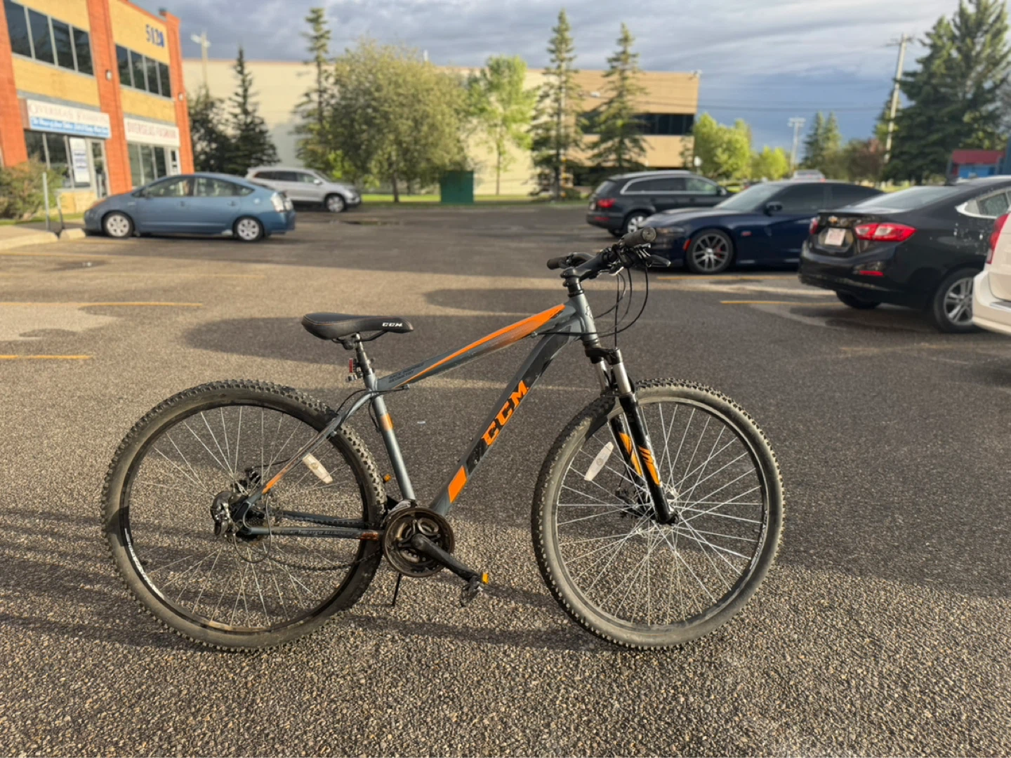 CCM Mountain Bike