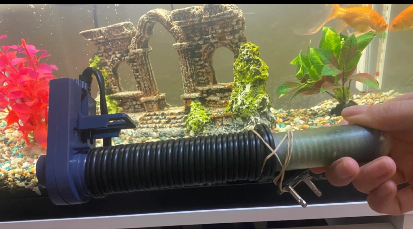 10 Gallon Aquarium for sale with the Accessories - photo 2