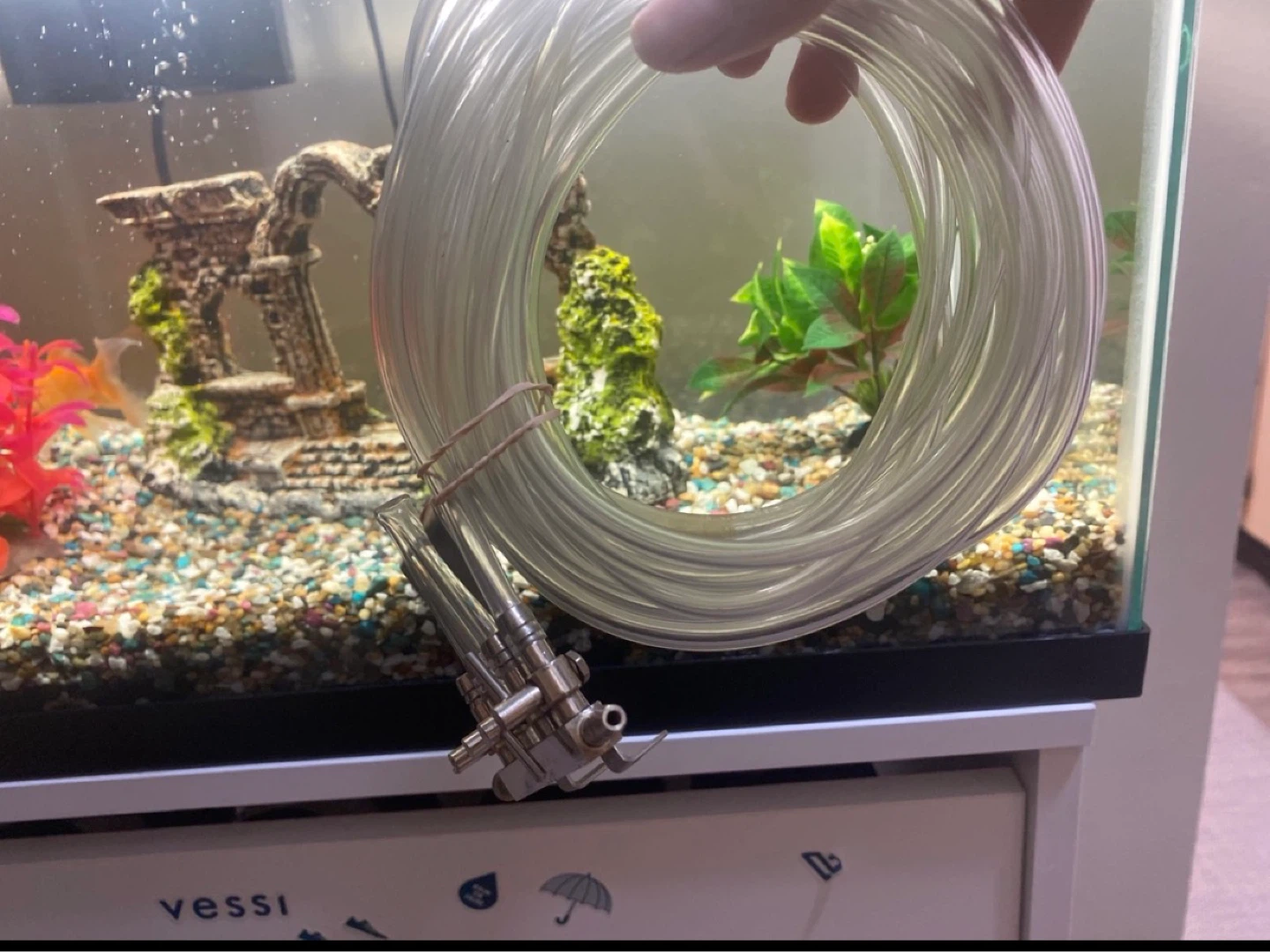10 Gallon Aquarium for sale with the Accessories - photo 3