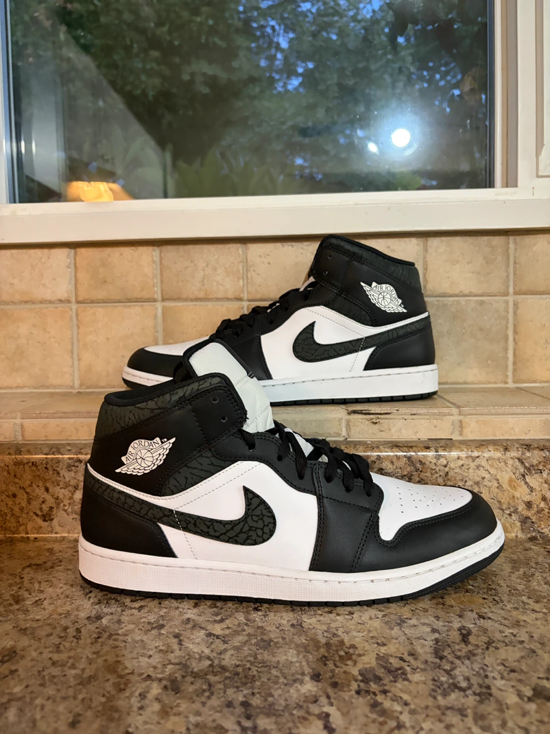 Air Jordan 1 Mid SE Shoes
