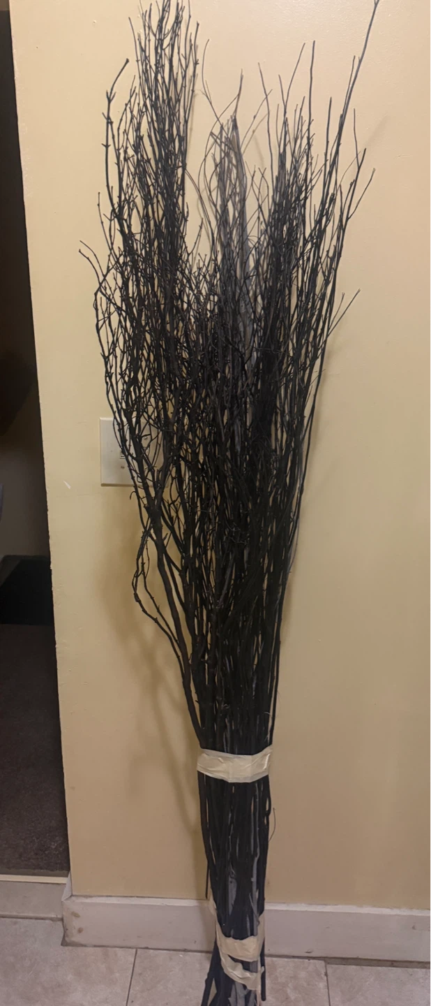 Black Decorative Branches Bundle
