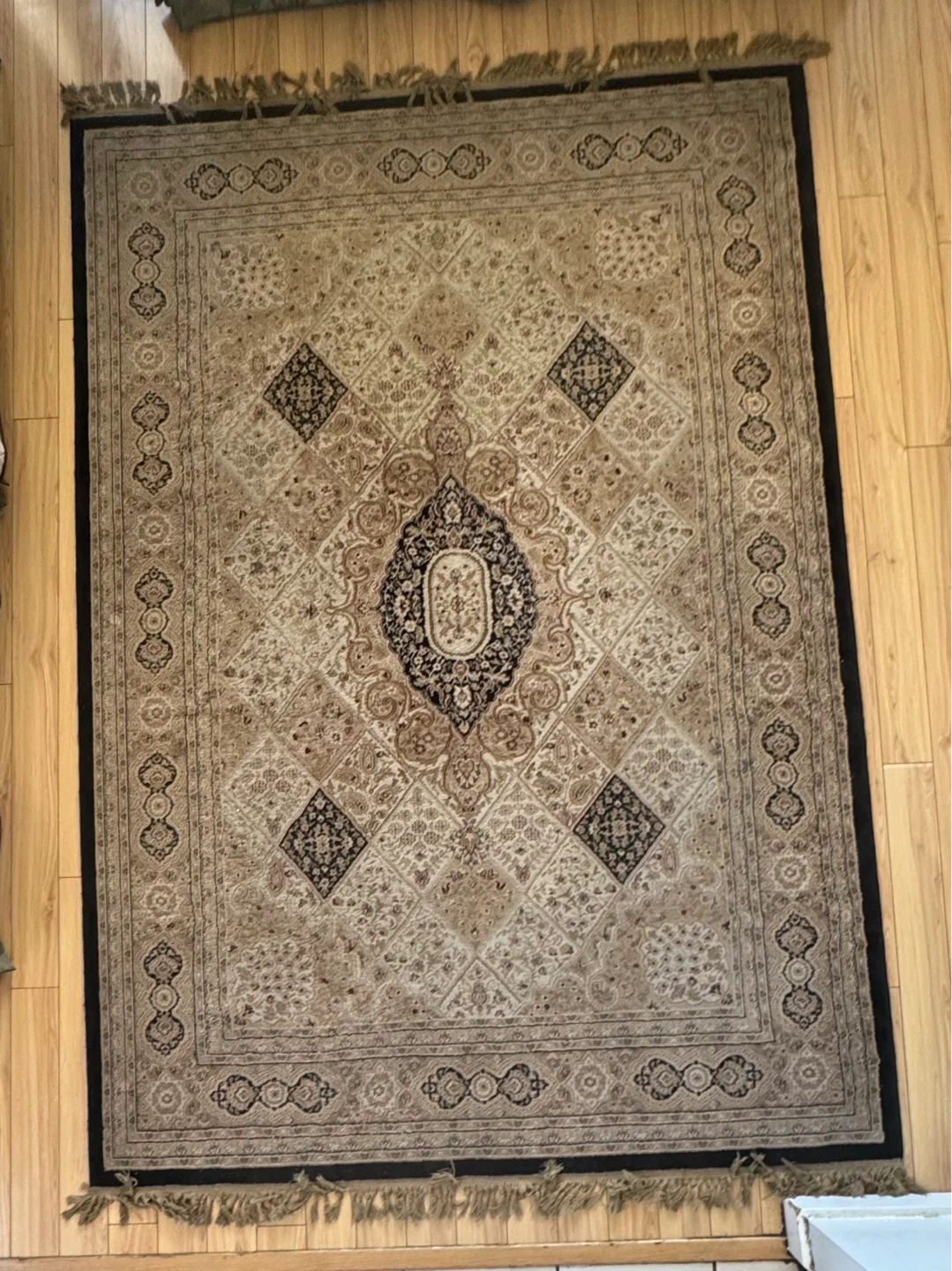Persian Style Area Rug