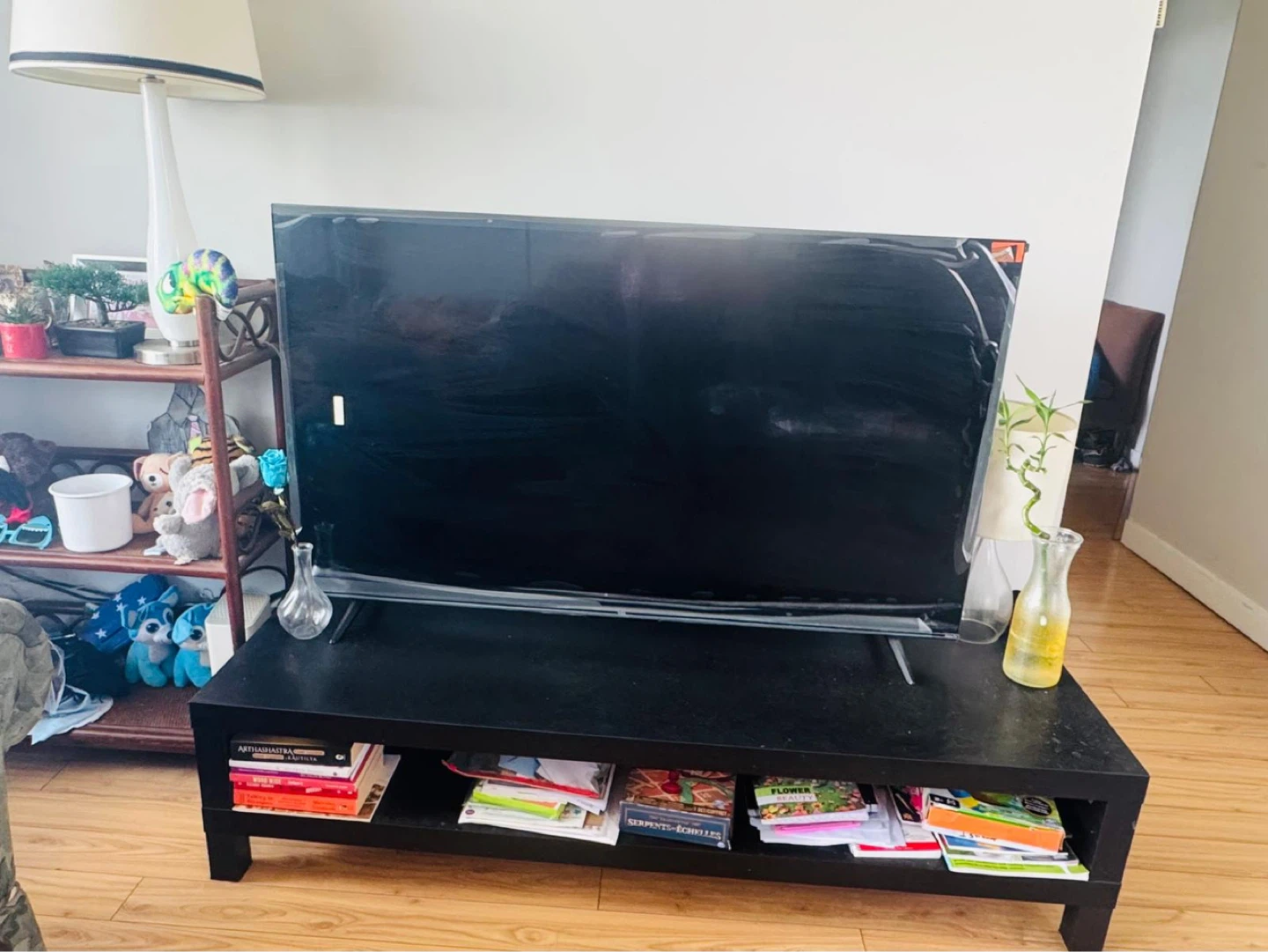 TCL Roku TV - photo 2