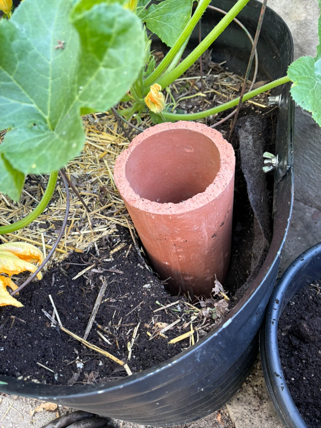 10 TERRACOTTA OLLAS FOR DEEP ROOT WATERING - photo 2