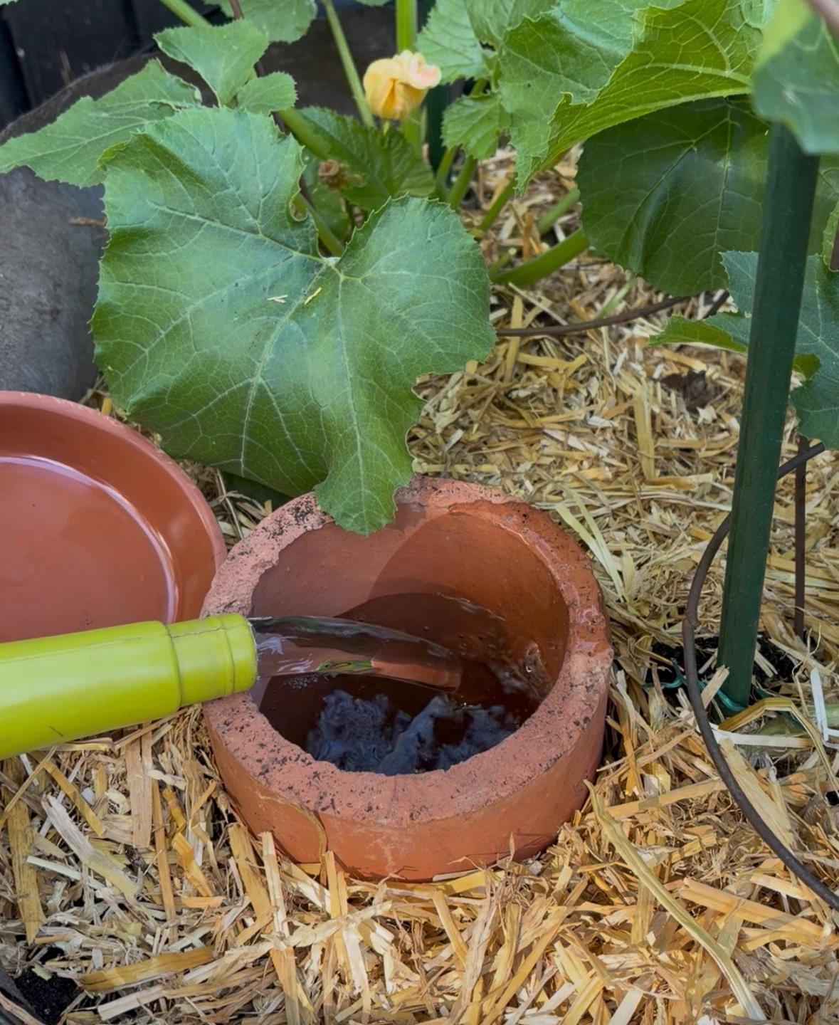 10 TERRACOTTA OLLAS FOR DEEP ROOT WATERING - photo 4