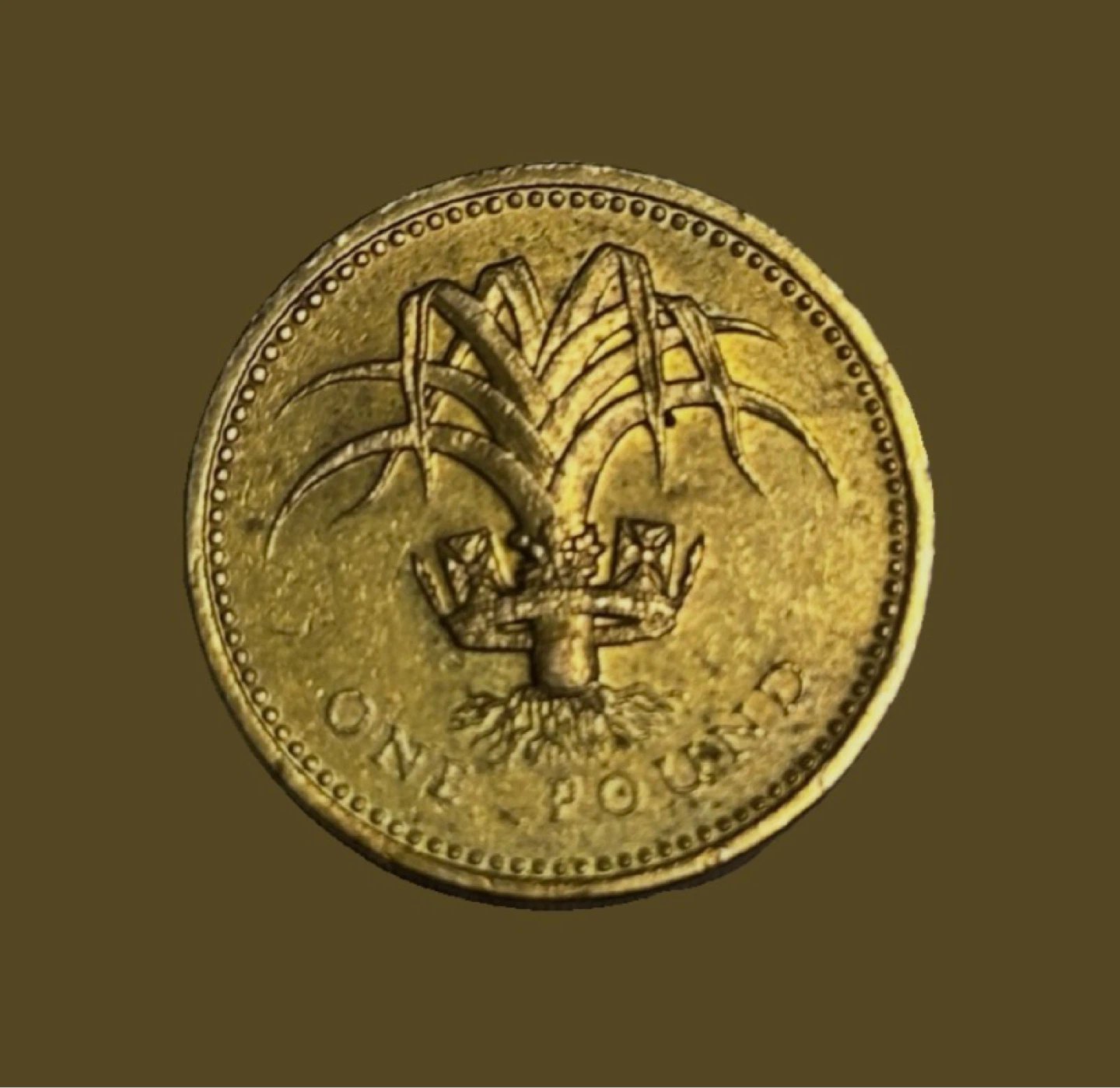 One Pound Coin - Queen Elizabeth II - 1988 - photo 3