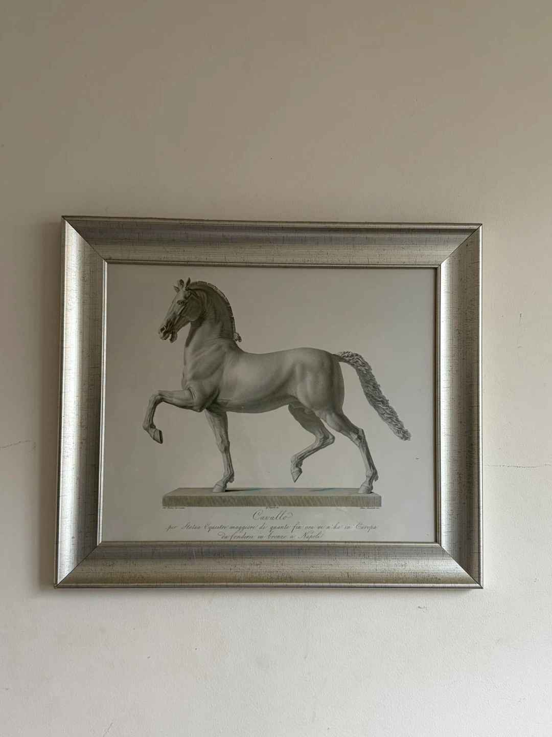 Framed Horse Print with Italian Text