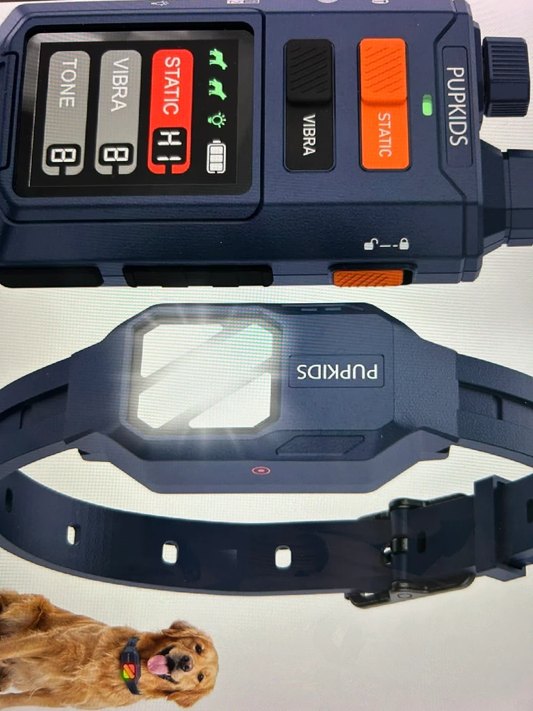 PupKIds Dog Training Collar with Remote - 12-25 inch