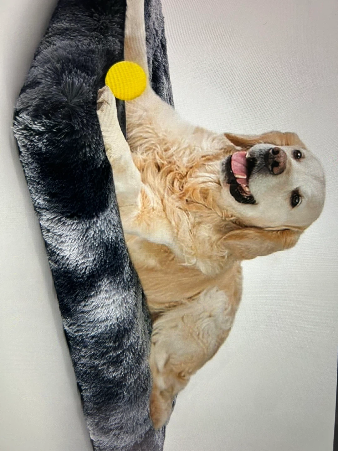 Cozy Dog Bed with Plush Interior