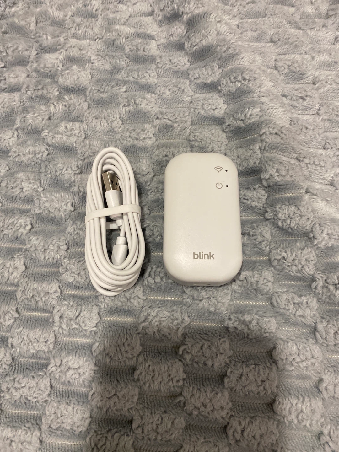 Blink Sync Module 2