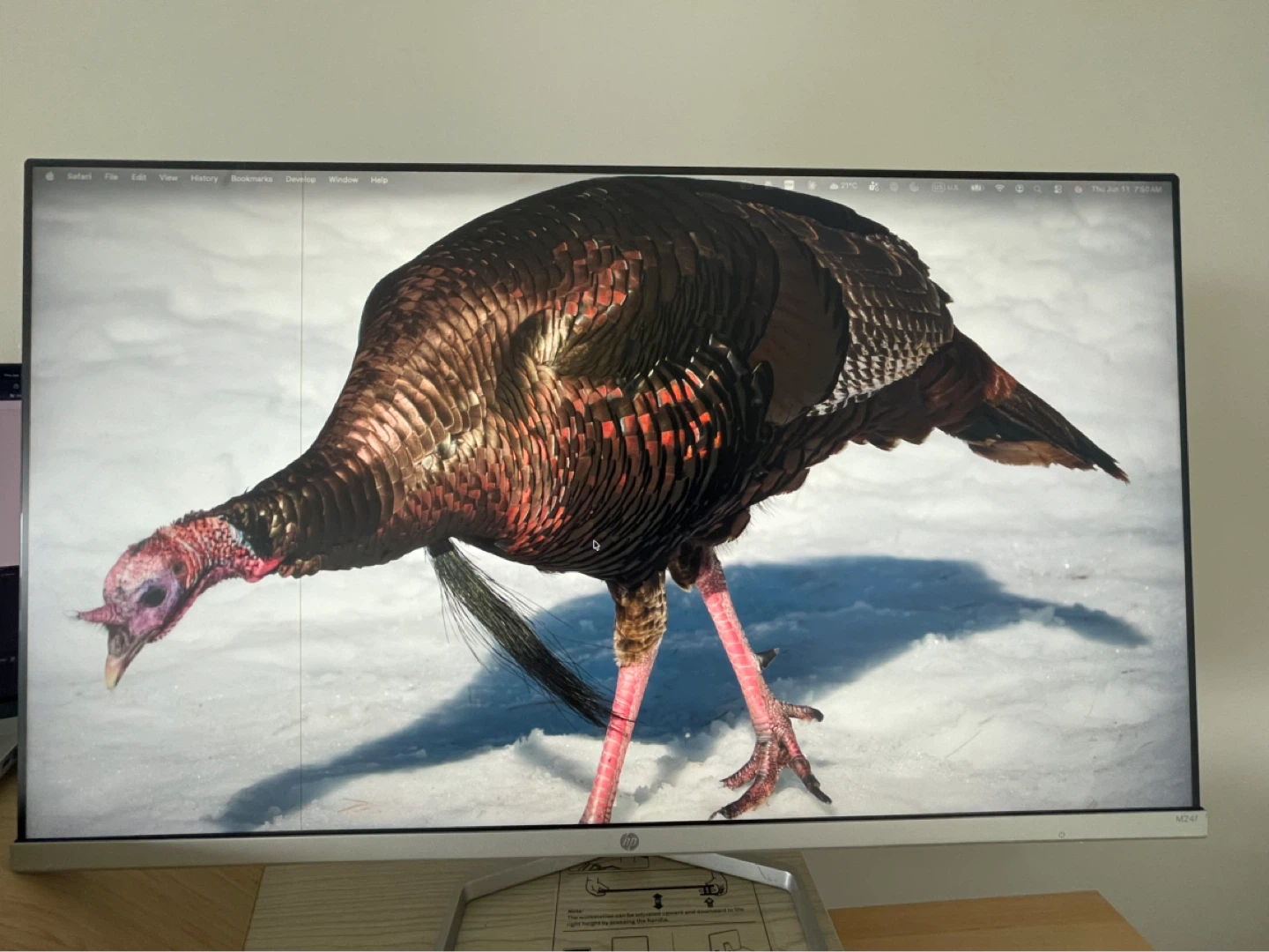HP Monitor 23.8" FHD - photo 2