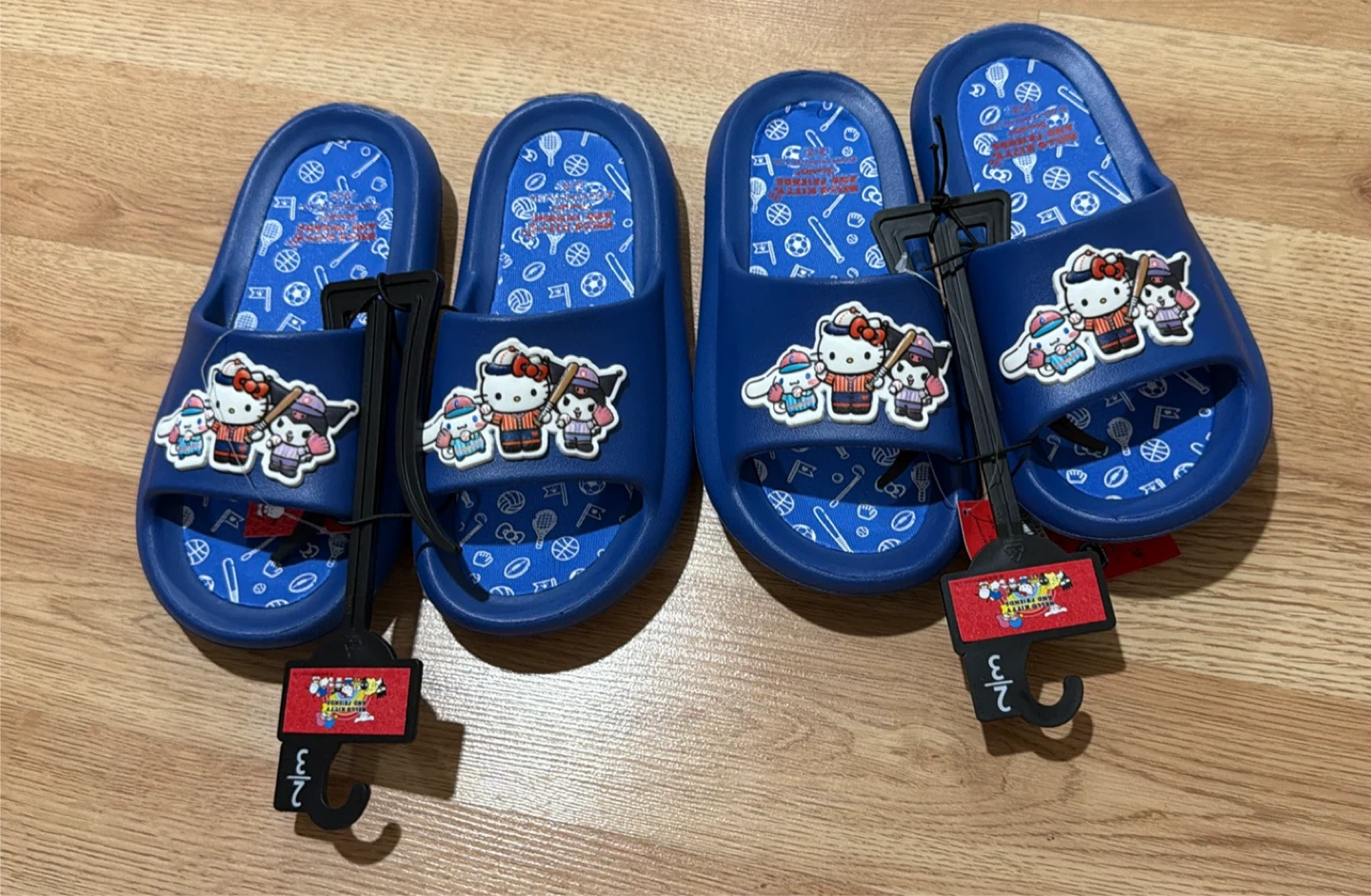 Hello Kitty and Friends Sanrio Kids Licensed Slides