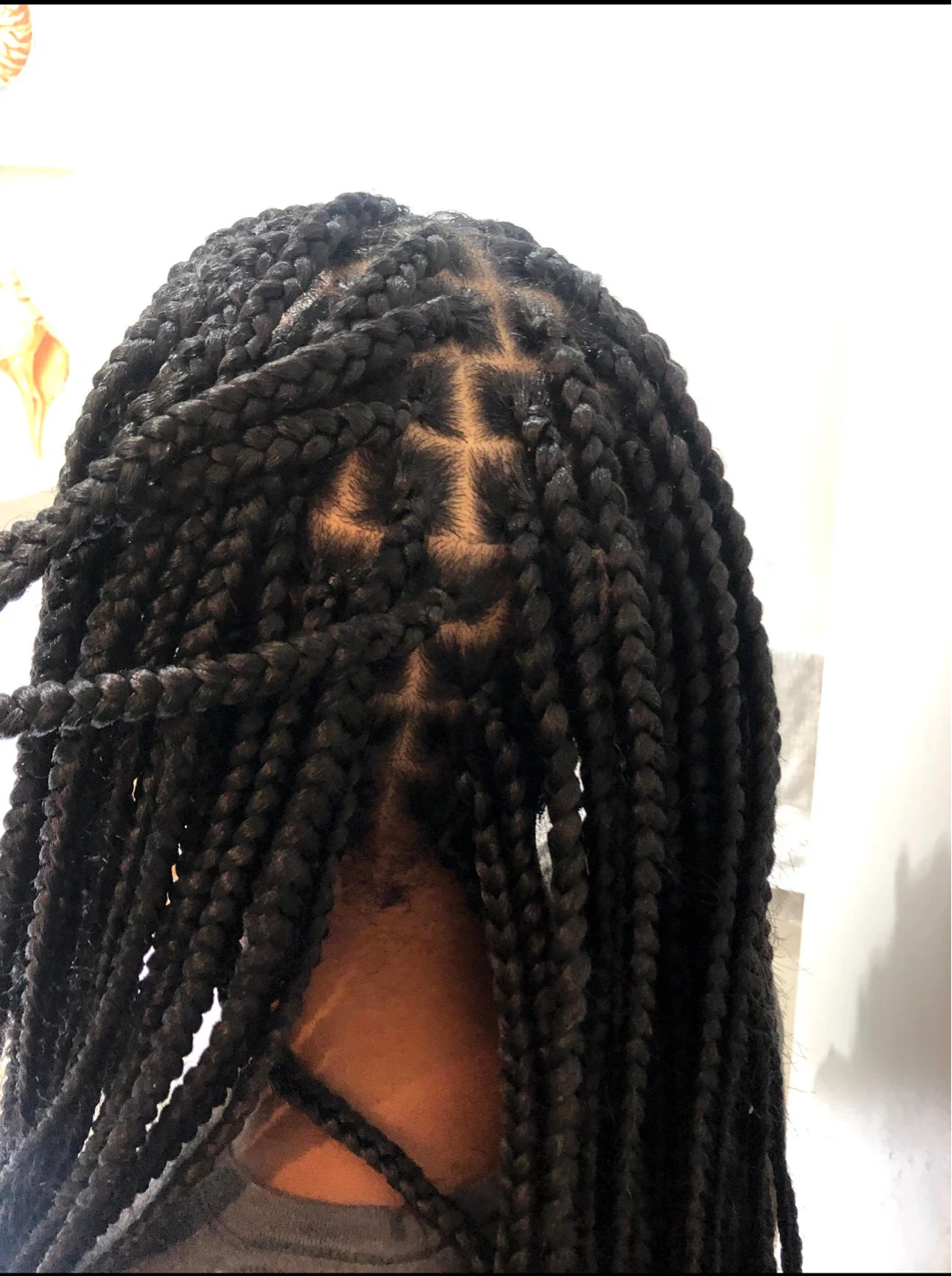 Knotless Braids Hair Style - photo 3