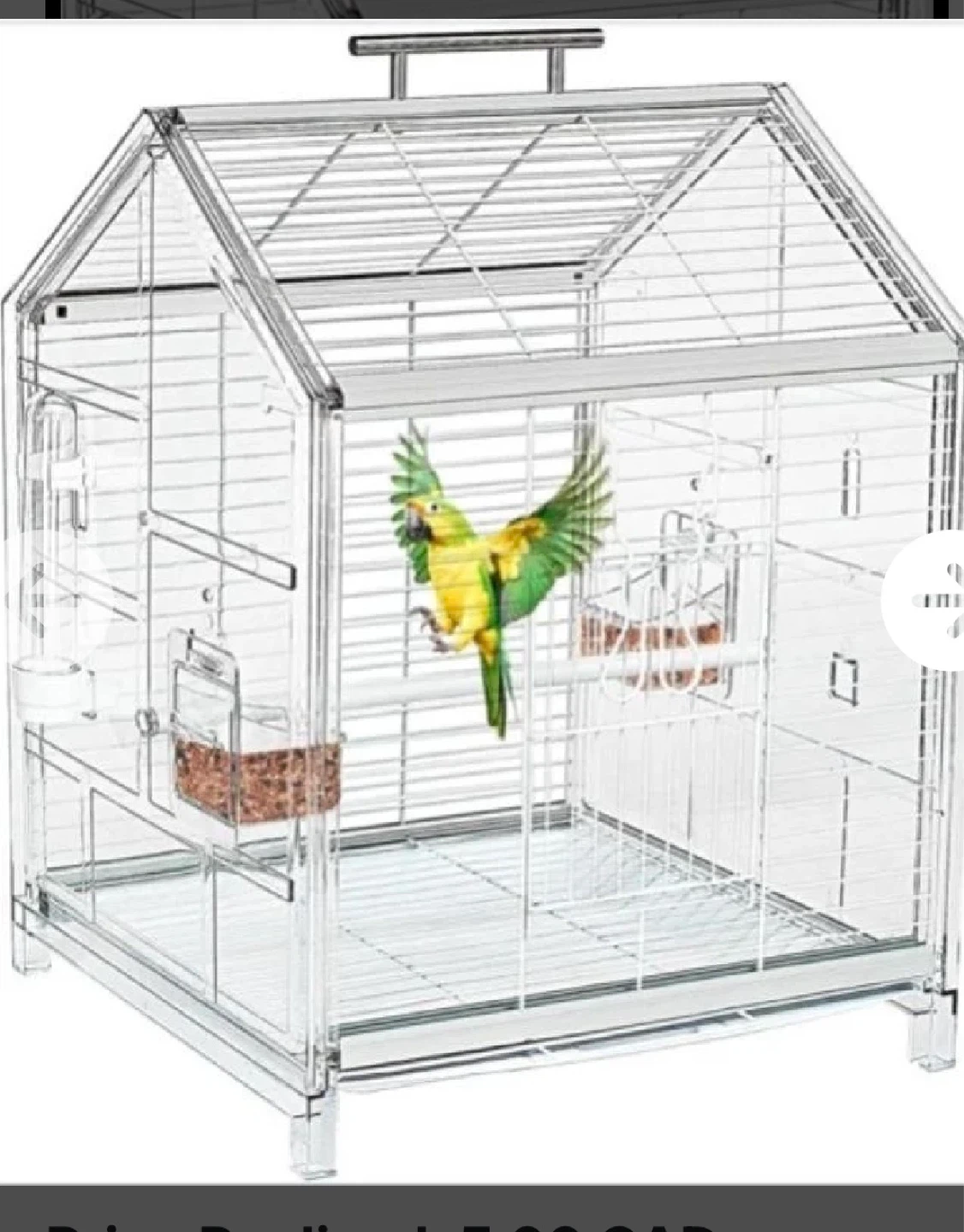 Bird Cage