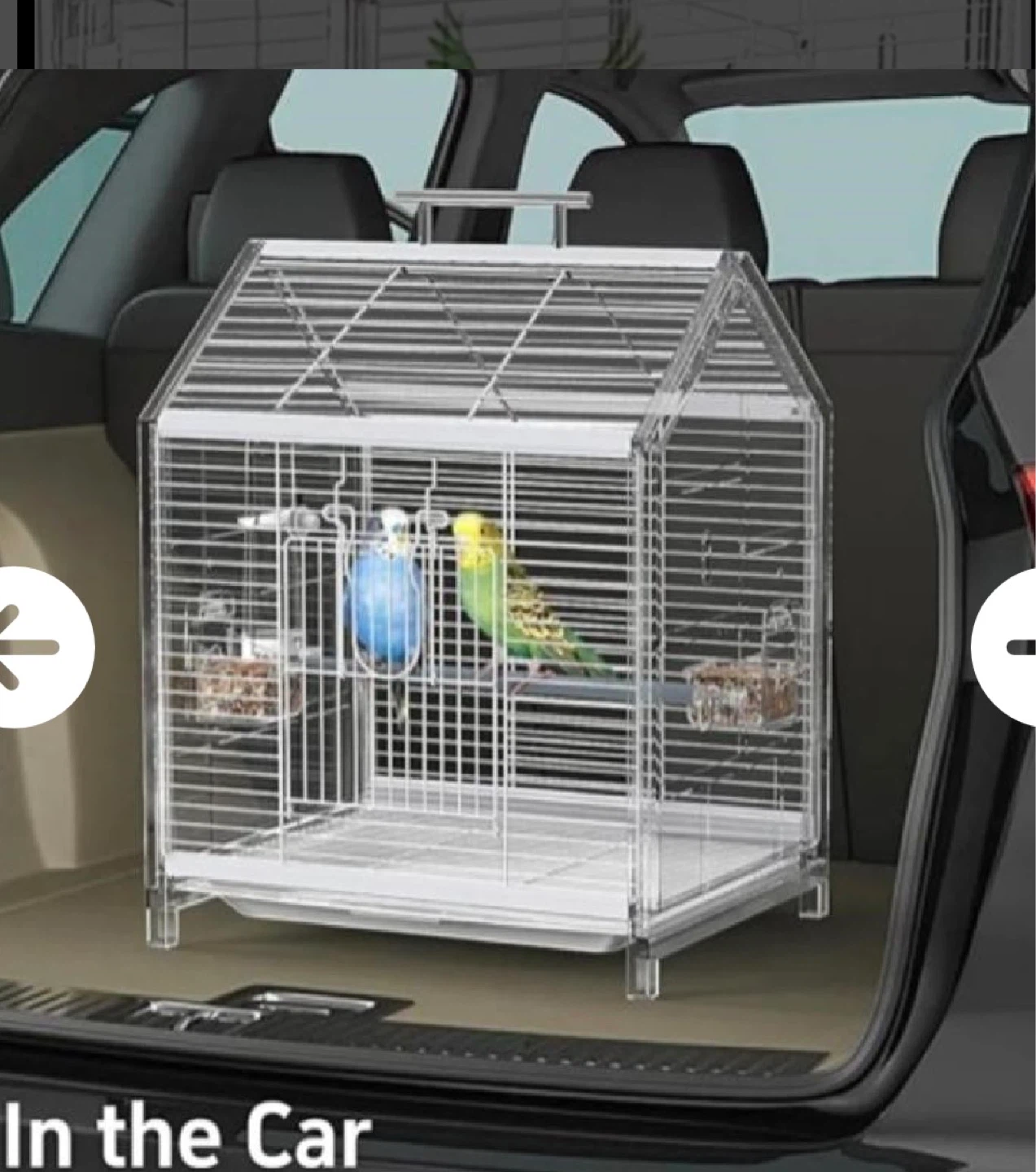 Bird Cage - photo 5