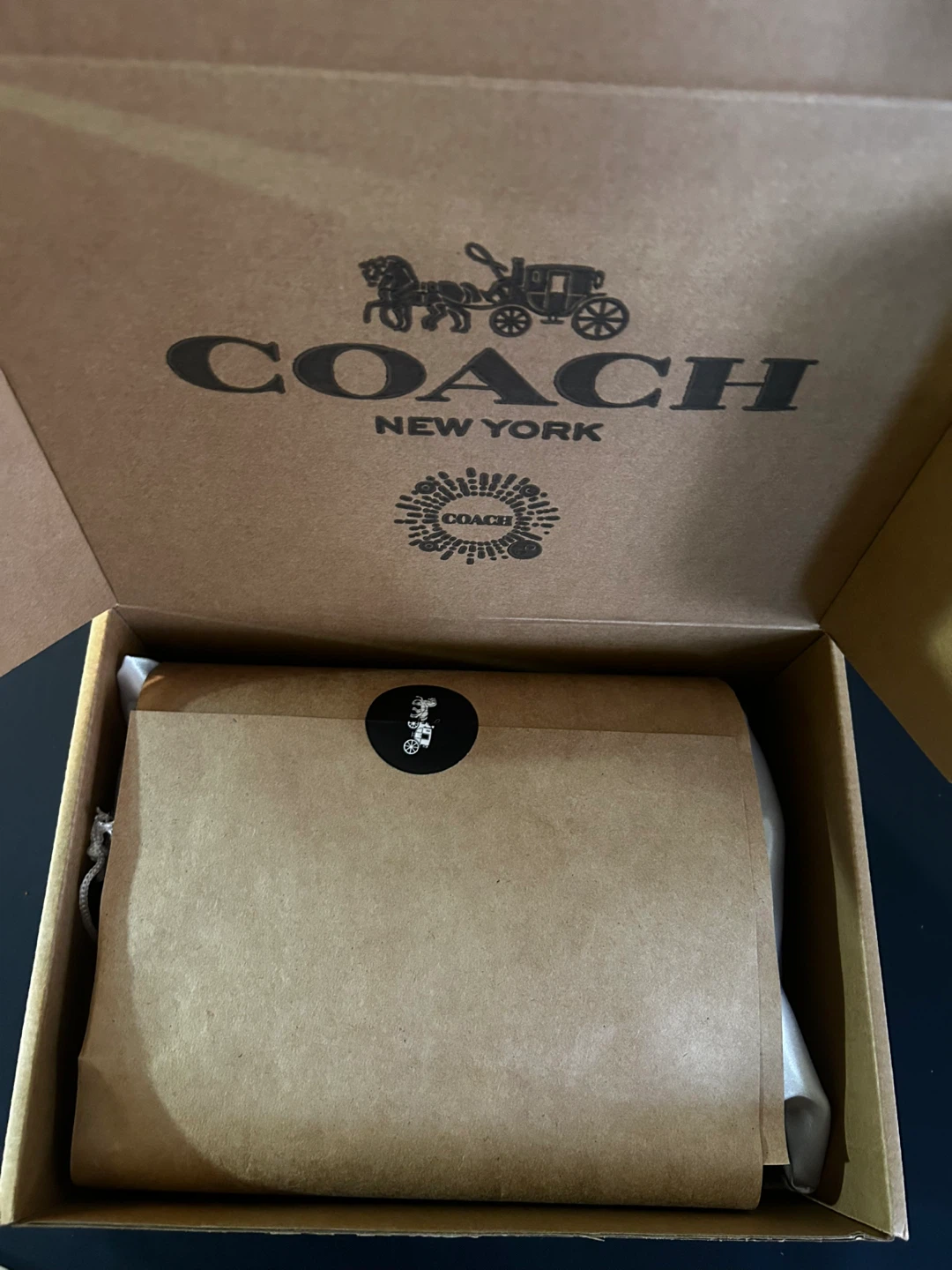 Coach Black Leather The Pillow Tabby Bag