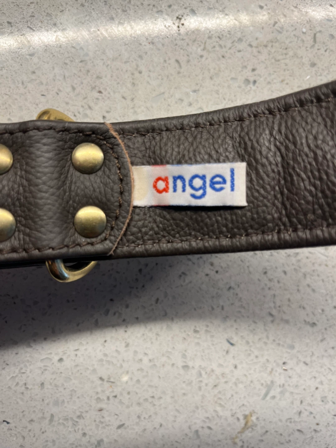 Large Angel Leather Dog Collar with rhinestones Studs - photo 4