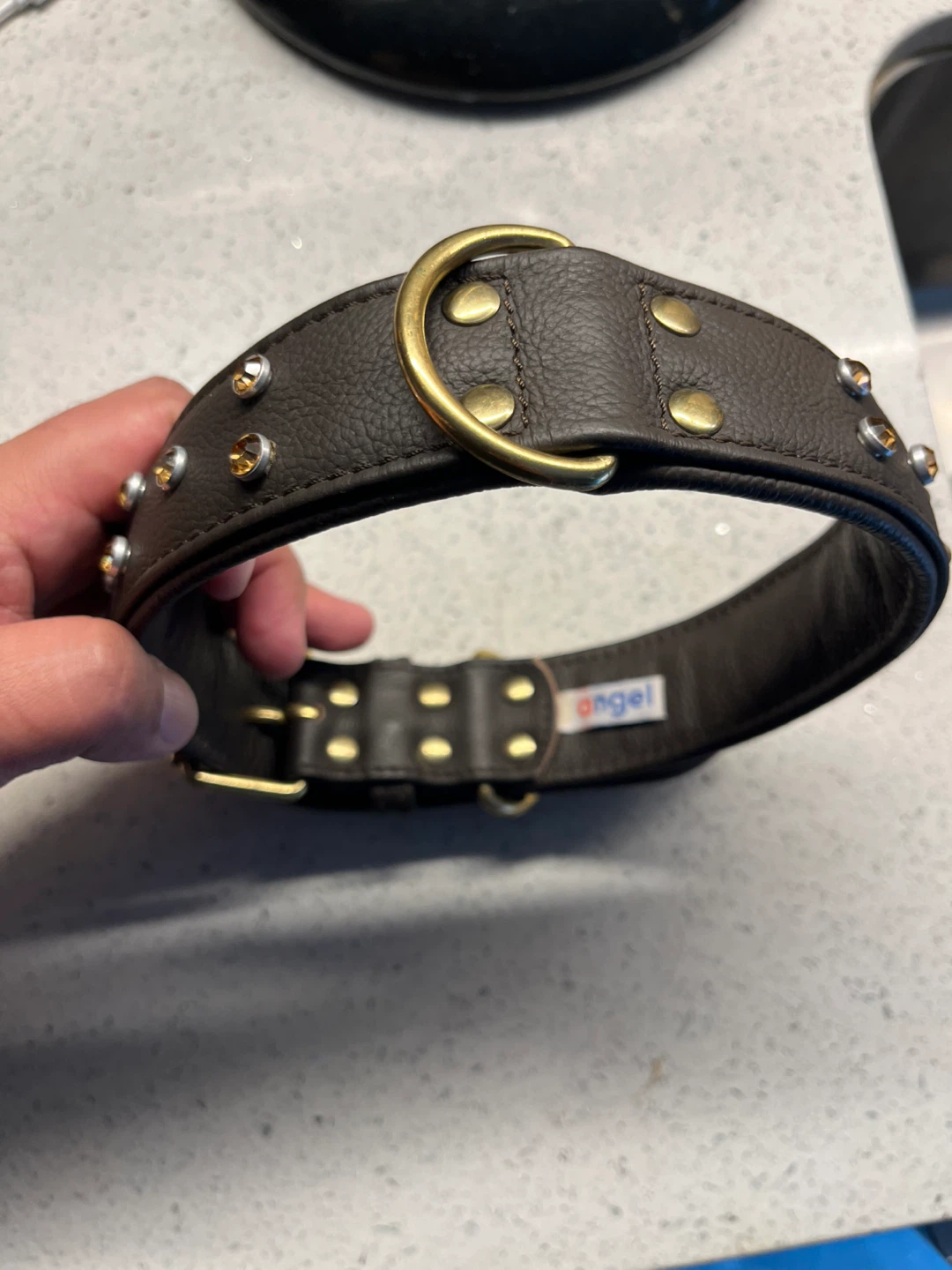 Large Angel Leather Dog Collar with rhinestones Studs