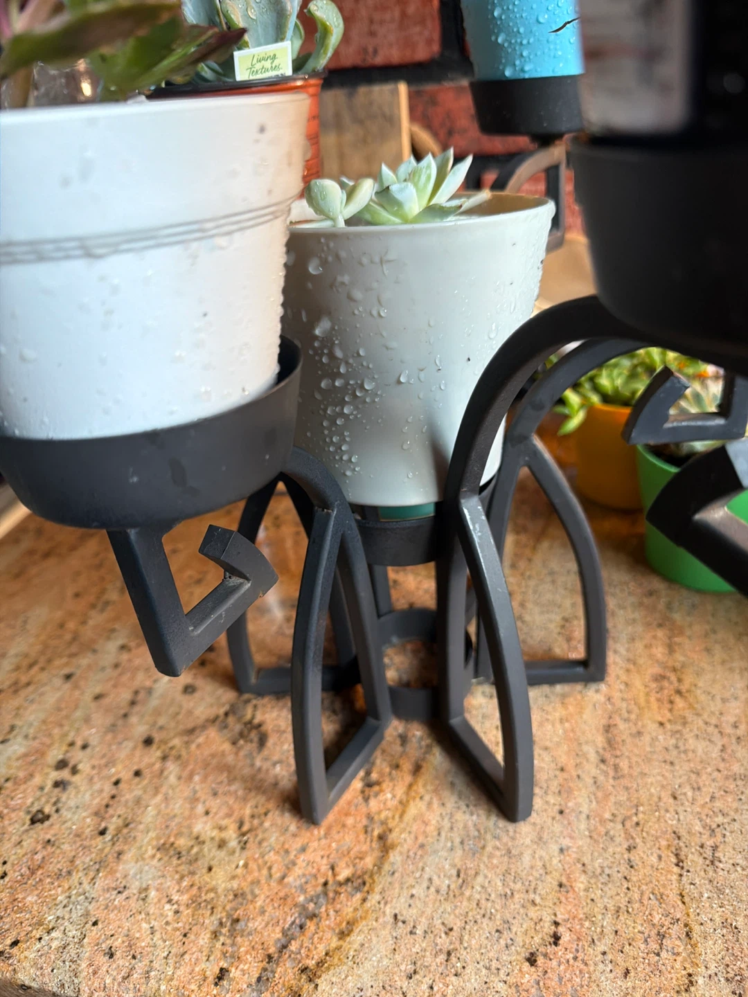 Assorted Succulent Plants with beautiful plant stand - photo 2