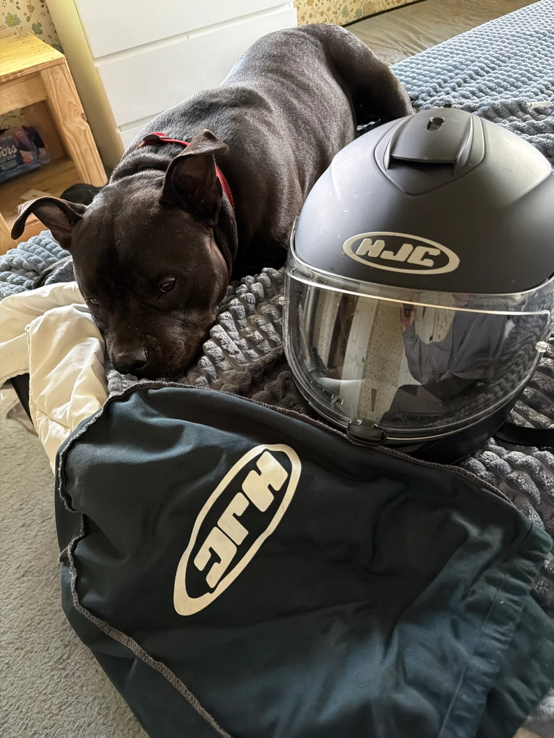 HJC Motorcycle Helmet with Bag - photo 2