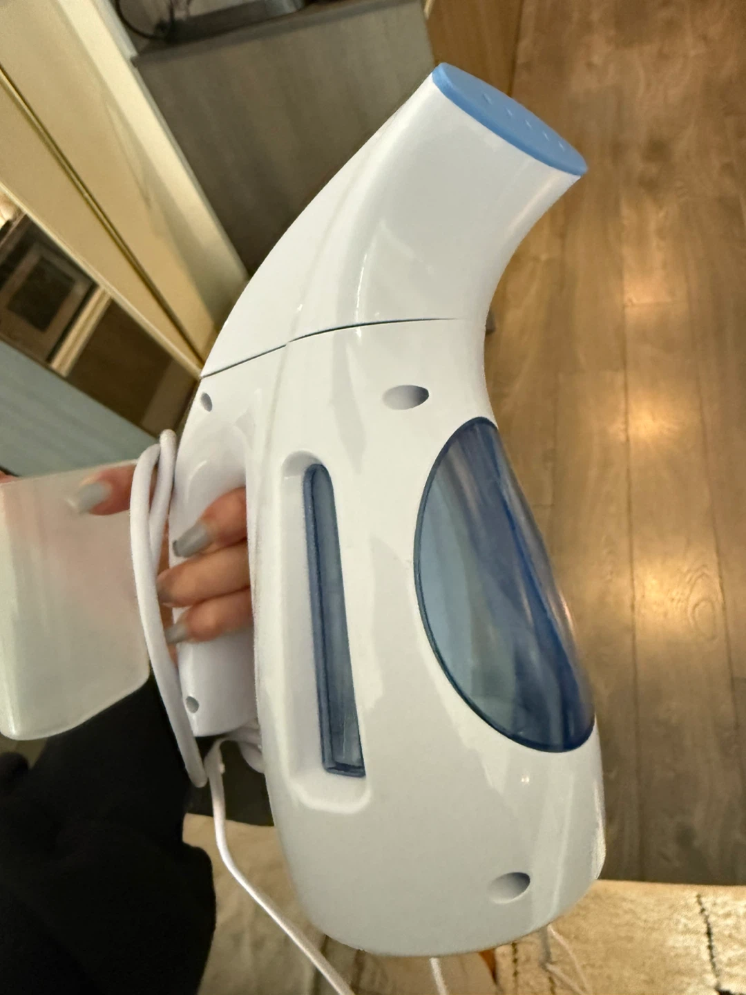 White Handheld Garment Steamer