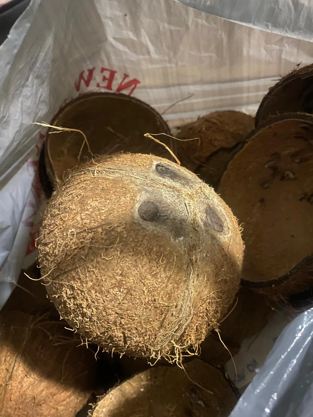 Bag of Coconut Shells - photo 2