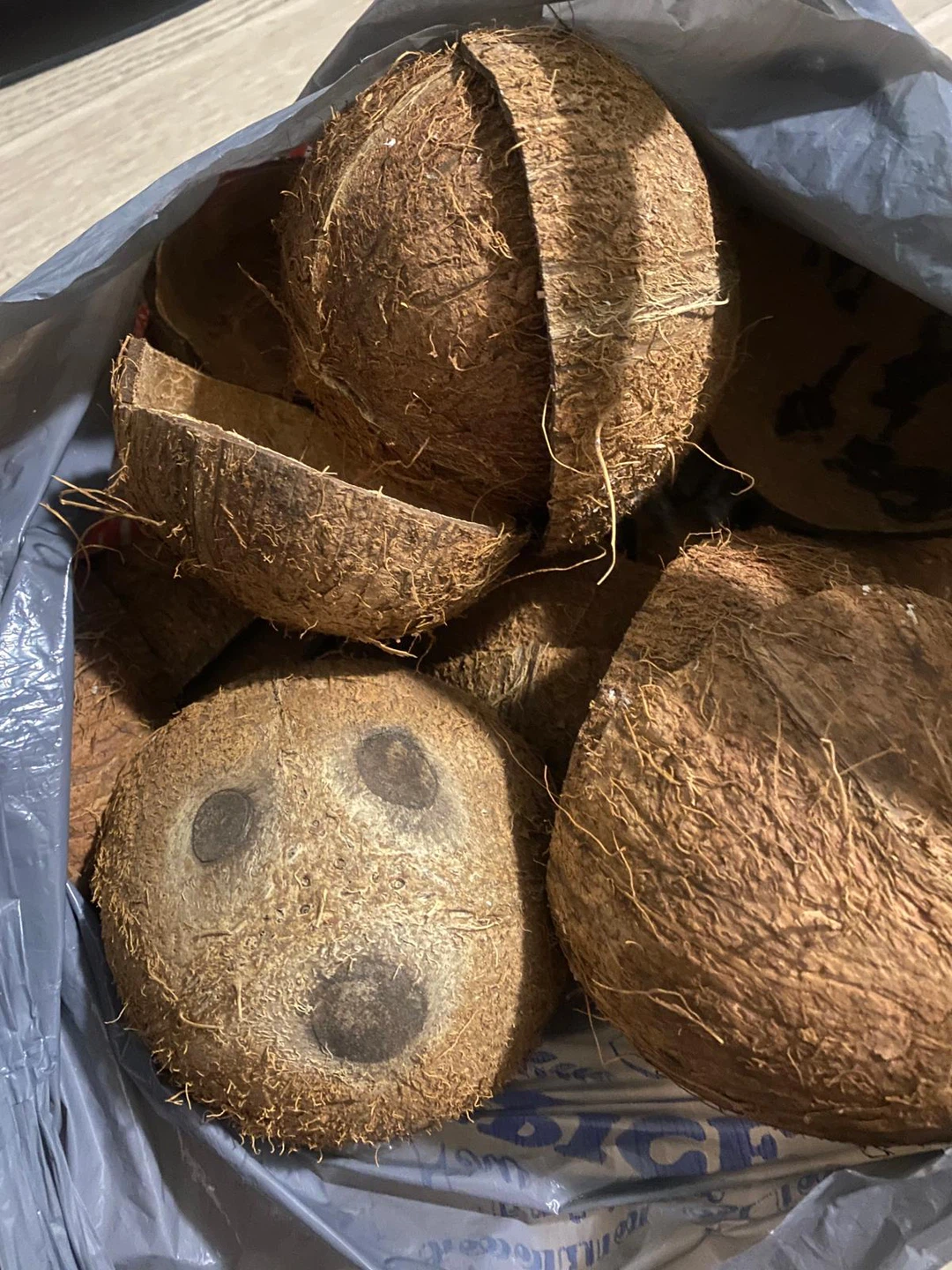 Bag of Coconut Shells