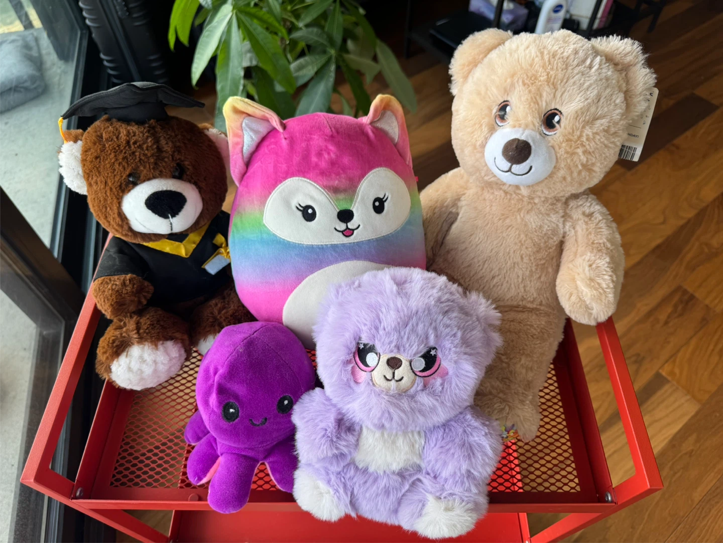 🥹🧸 Rehoming My Plushie Friends 🧸