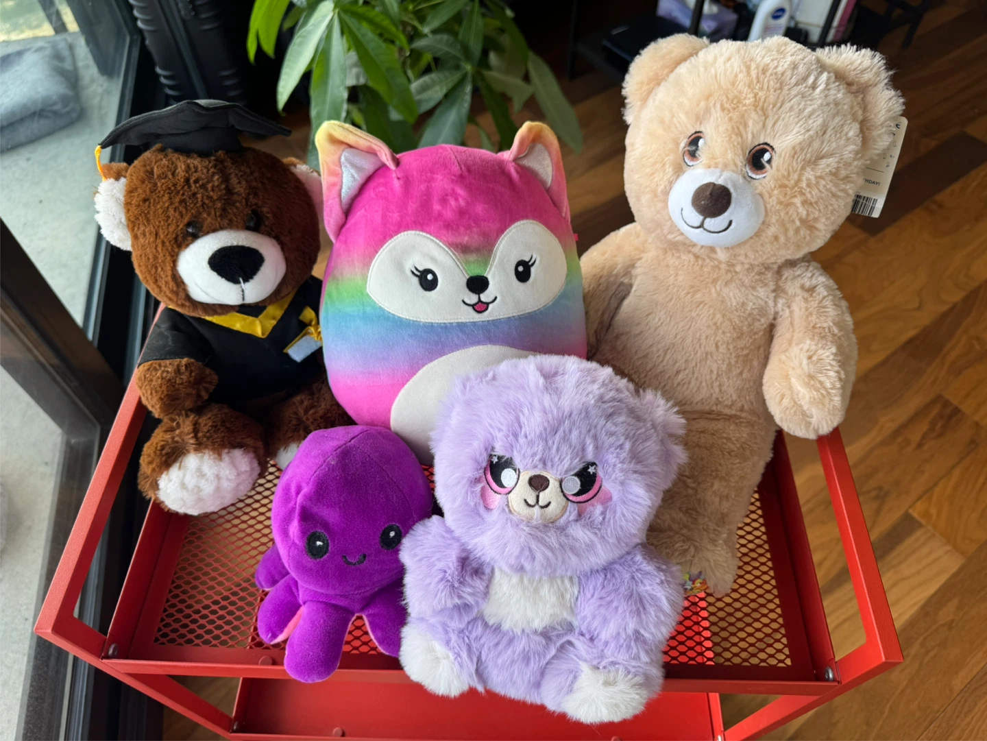 🥹🧸 Rehoming My Plushie Friends 🧸 - photo 2