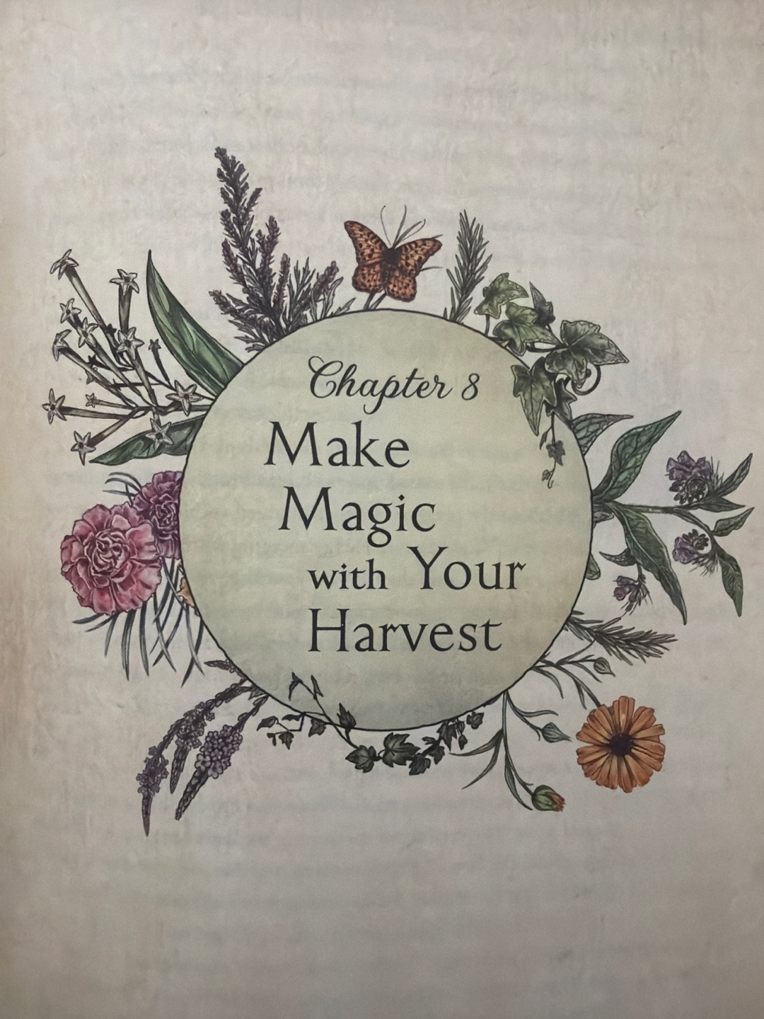 The Green Witch's Garden by Arin Murphy-Hiscock - photo 3