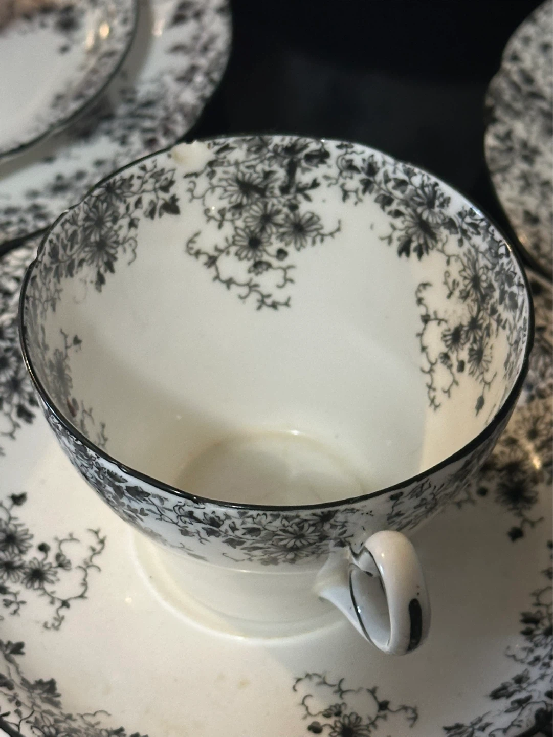 Rare Shelley Bone China Black Ivy “ dainty pattern” - photo 5