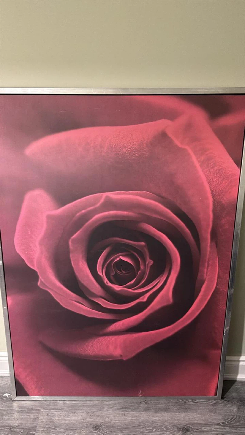 Framed Red Rose Wall Art