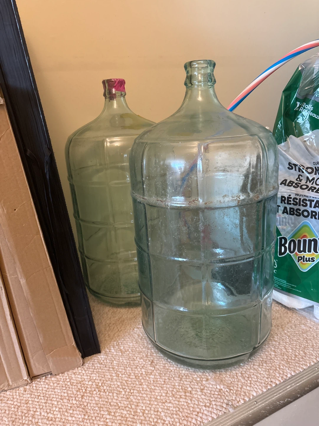 Glass Carboy Jug each