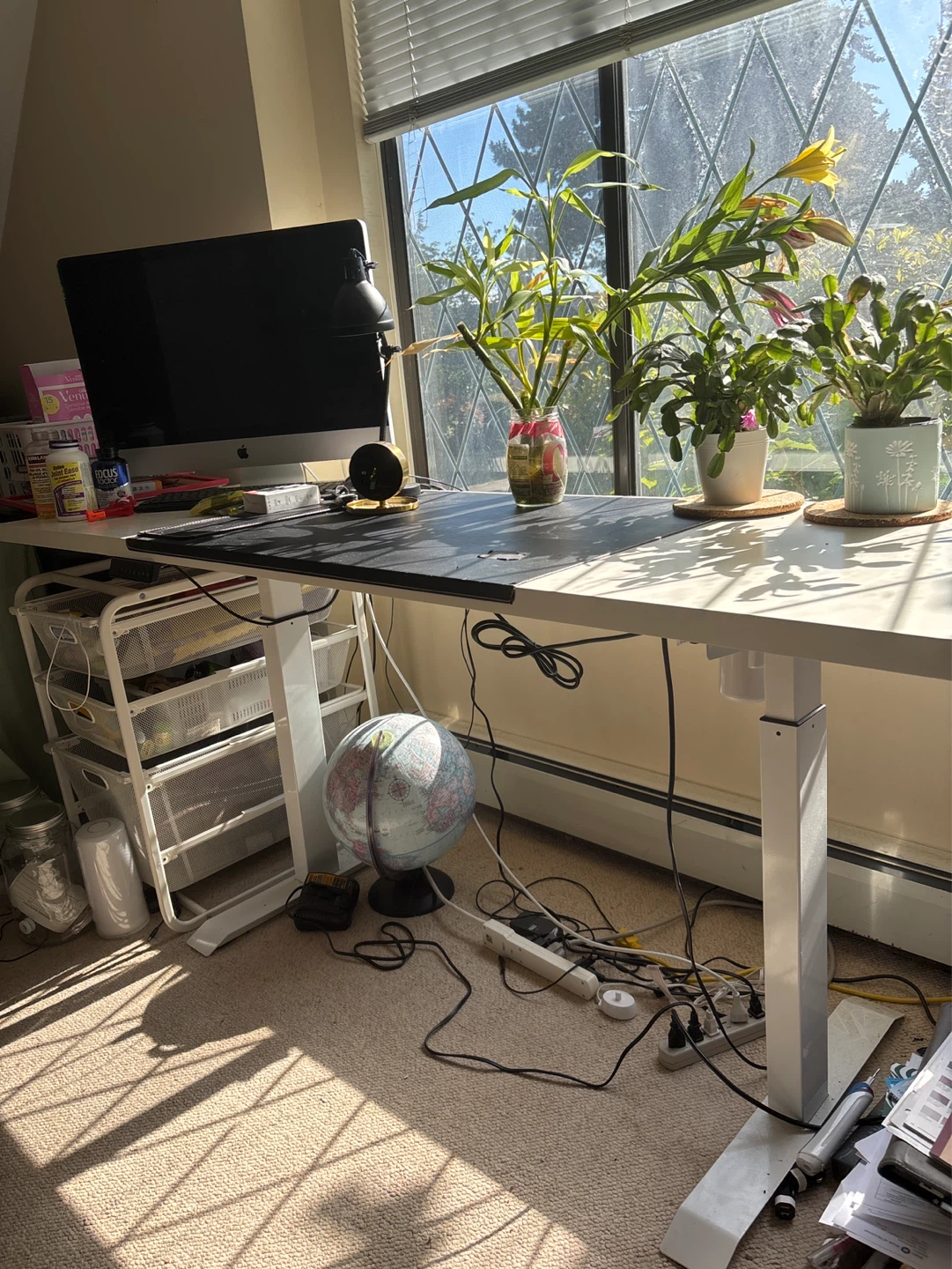 Electric Standing Desk