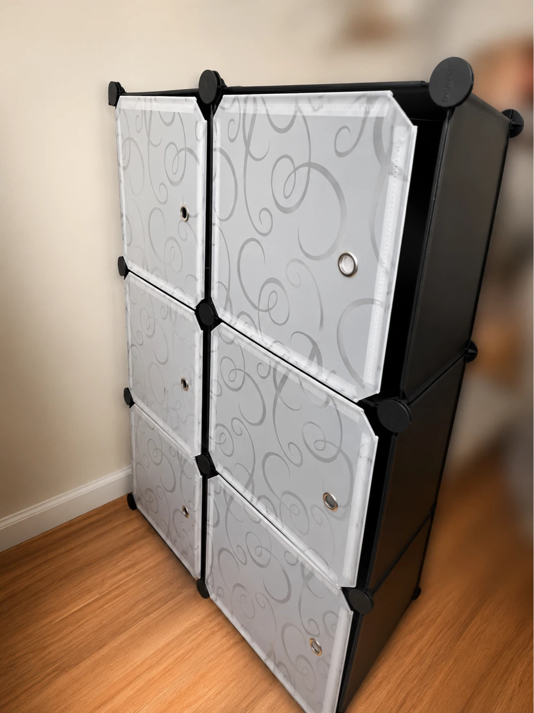 6 Cube Storage Organizer with Swirl Doors