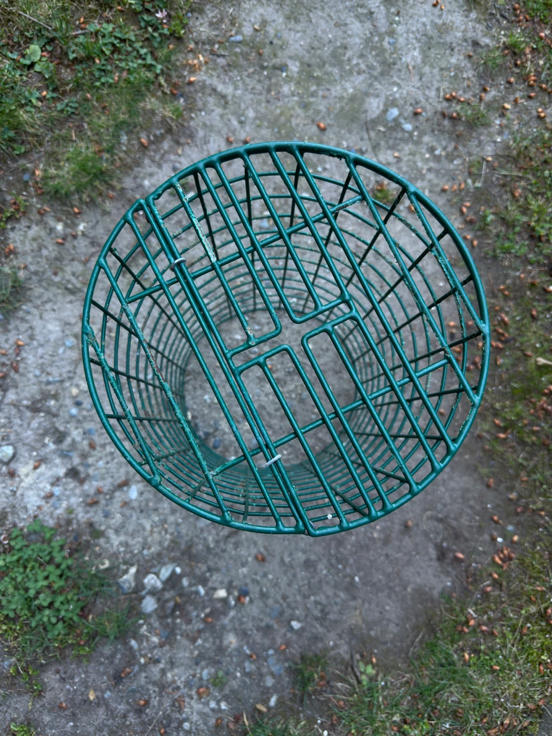 Green Metal Wire Garden Plant protector or stand - photo 2