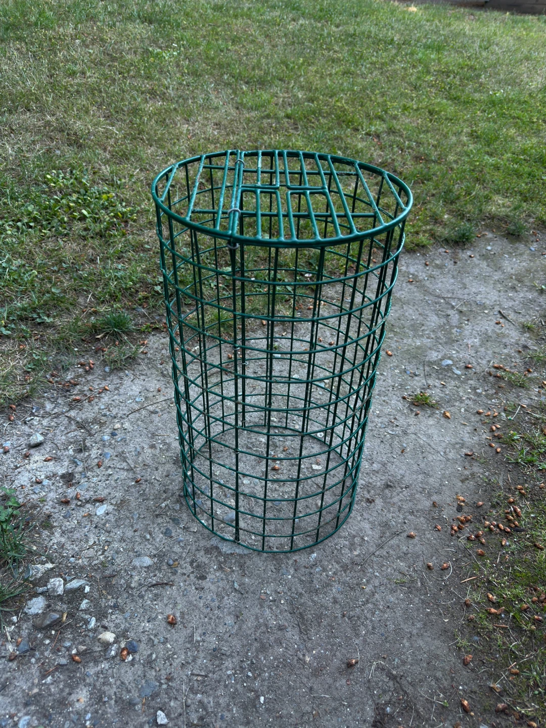 Green Metal Wire Garden Plant protector or stand