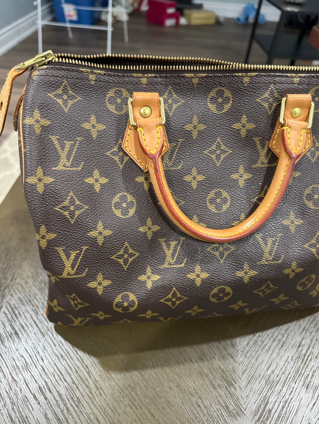 Louis Vuitton Speedy Bag