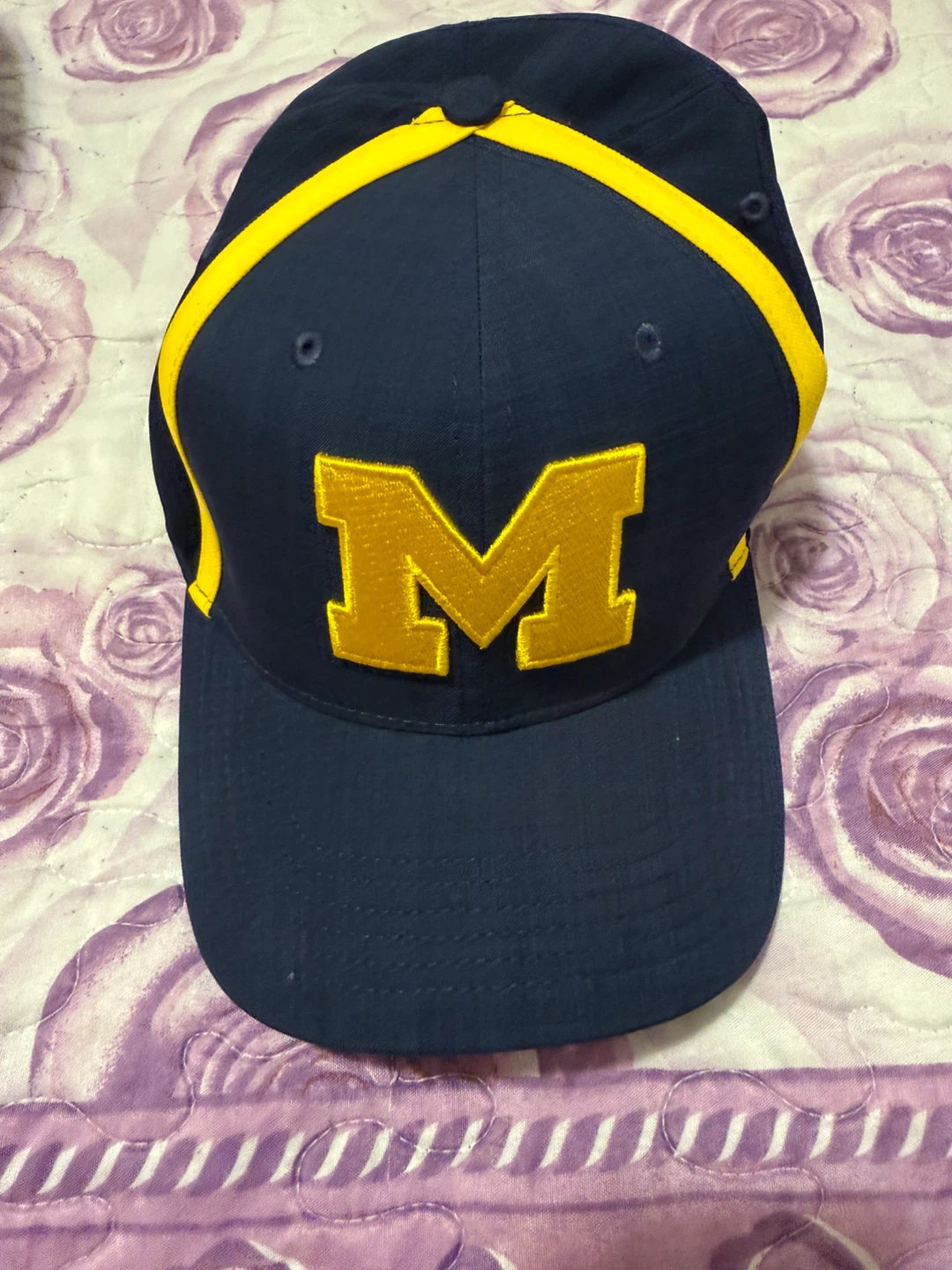Nike Jordan Michigan Wolverines Baseball Cap