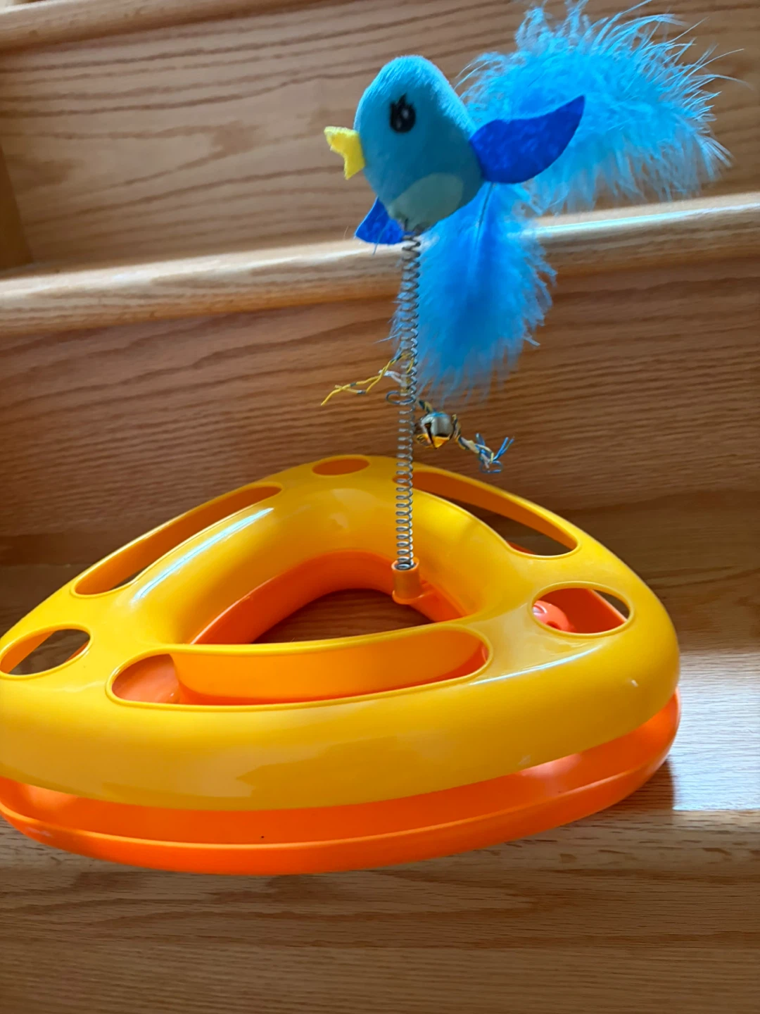 Cat Toy with Spinning Bird