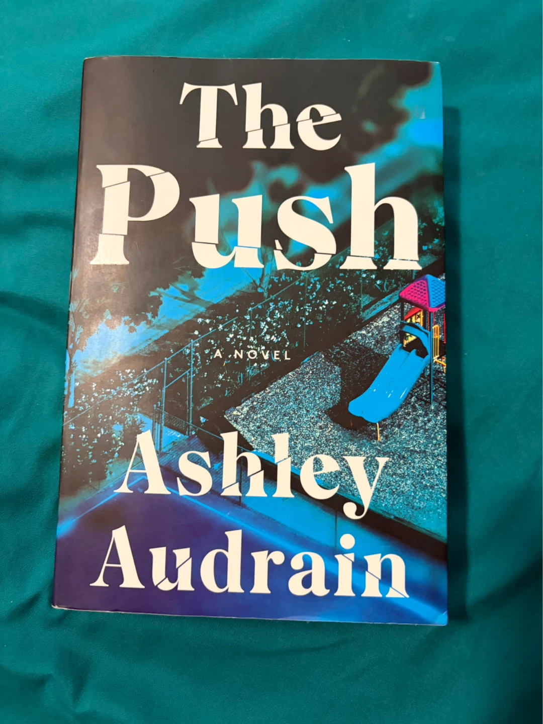 The Push: A Novel by Ashley Audrain