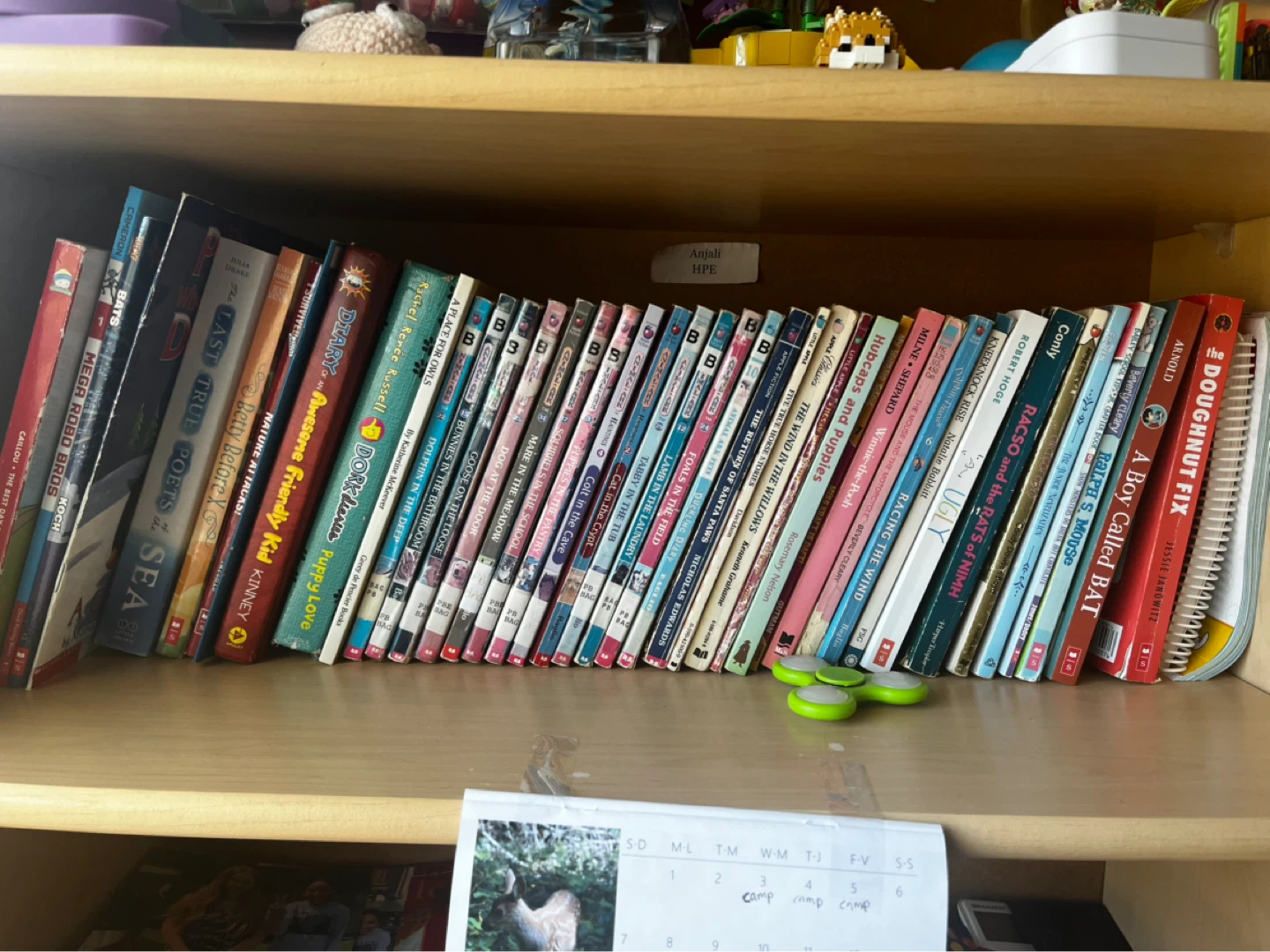 Chapter Books ($3 for 1, $30 for all)
