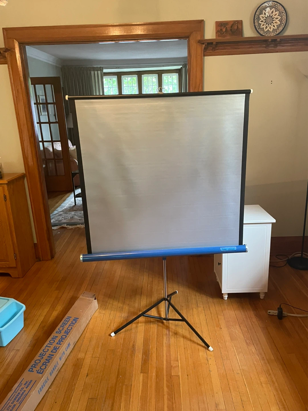Da-Lite Projection Screen