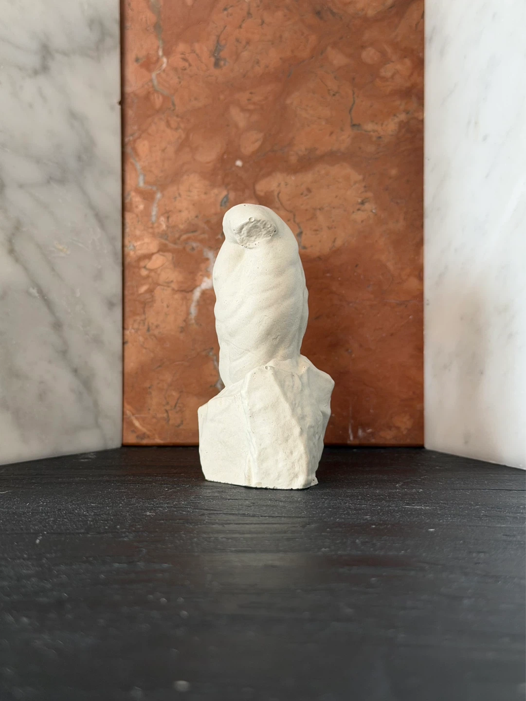 Sculptural Torso Bust - photo 4
