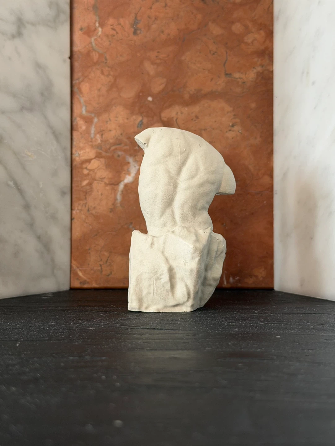 Sculptural Torso Bust - photo 3